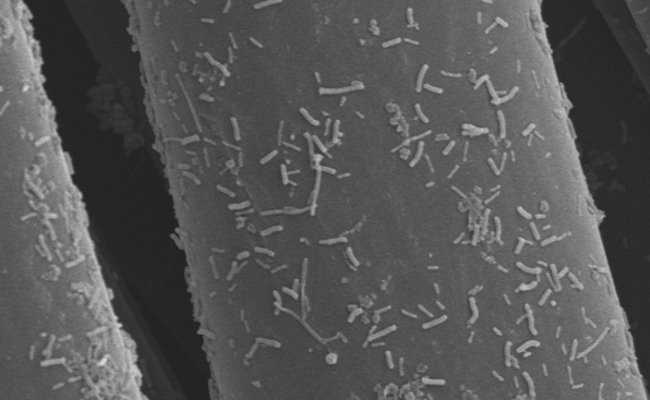 微生物を用いたCO2<br>変換・技術