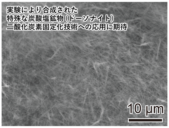 廃棄物から新しい価値を作り出す